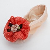 Flats Ballet Ballroom Dance Shoes (053024340)